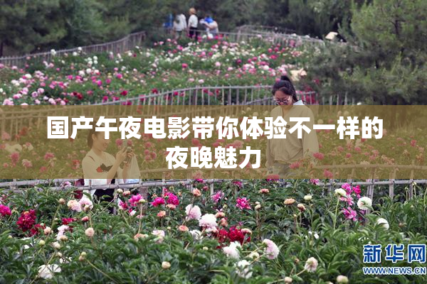 国产午夜电影带你体验不一样的夜晚魅力