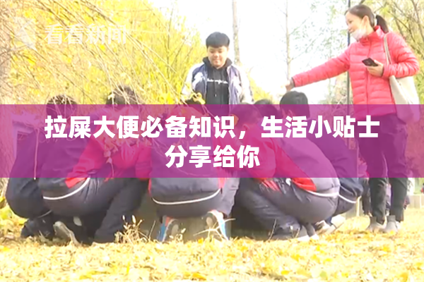 拉屎大便必备知识，生活小贴士分享给你