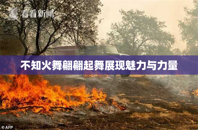 不知火舞翩翩起舞展现魅力与力量