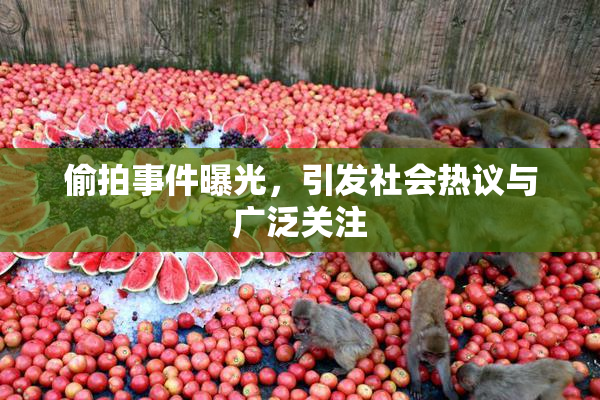 偷拍事件曝光，引发社会热议与广泛关注