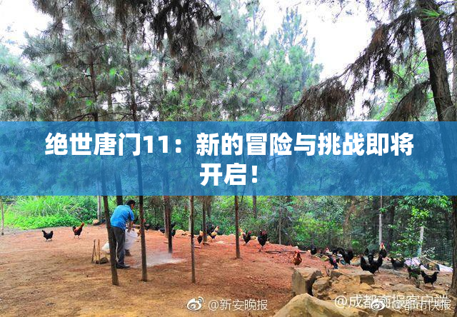 绝世唐门11：新的冒险与挑战即将开启！