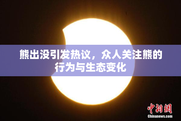 熊出没引发热议，众人关注熊的行为与生态变化