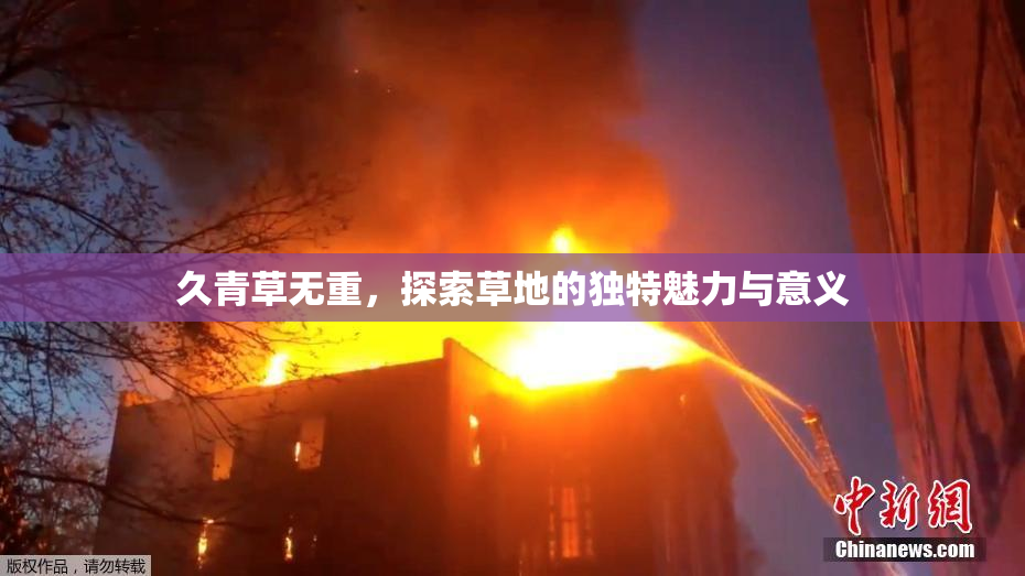 久青草无重，探索草地的独特魅力与意义