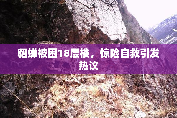 貂蝉被困18层楼，惊险自救引发热议