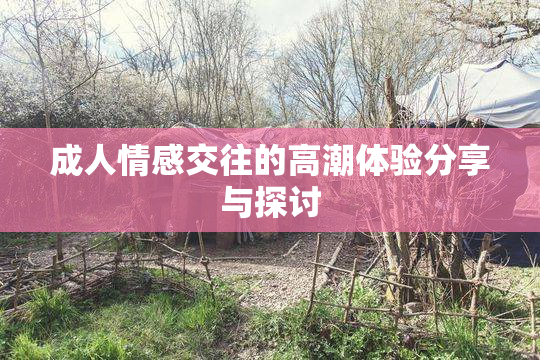 成人情感交往的高潮体验分享与探讨