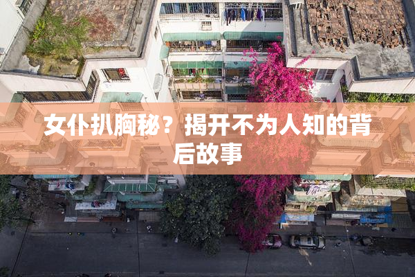 女仆扒胸秘？揭开不为人知的背后故事