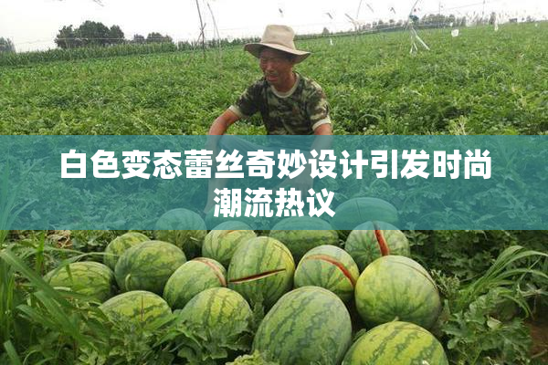 白色变态蕾丝奇妙设计引发时尚潮流热议