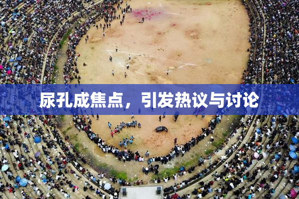 尿孔成焦点，引发热议与讨论