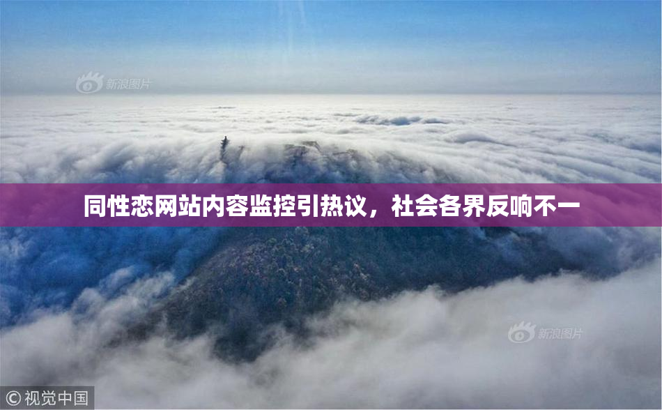 同性恋网站内容监控引热议，社会各界反响不一