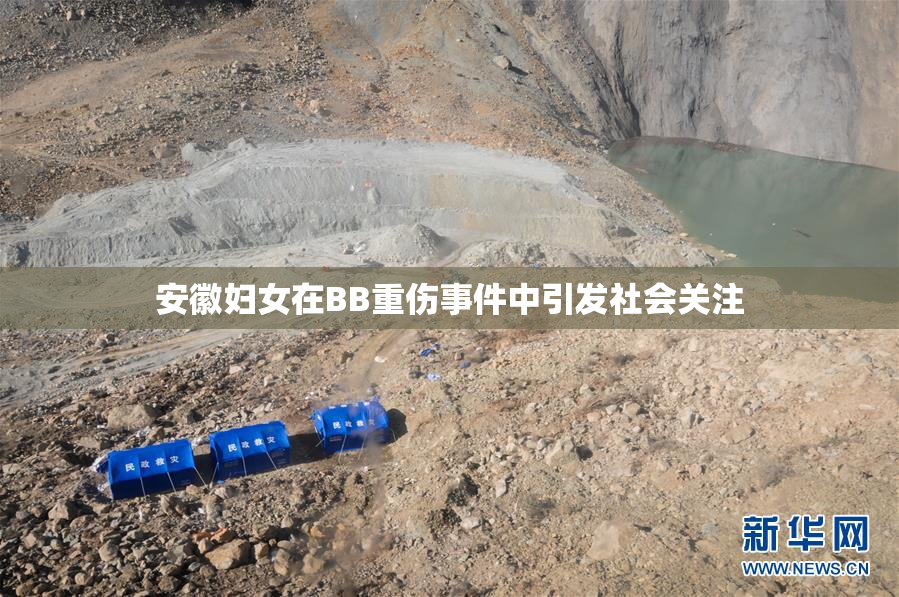 安徽妇女在BB重伤事件中引发社会关注