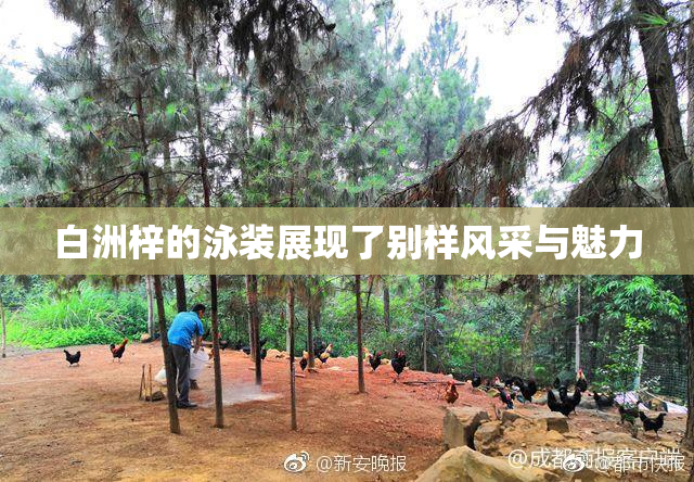 白洲梓的泳装展现了别样风采与魅力
