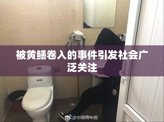 被黄鳝卷入的事件引发社会广泛关注