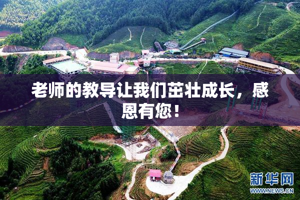 老师的教导让我们茁壮成长，感恩有您！