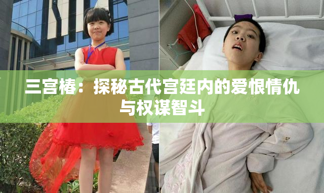 三宫椿：探秘古代宫廷内的爱恨情仇与权谋智斗