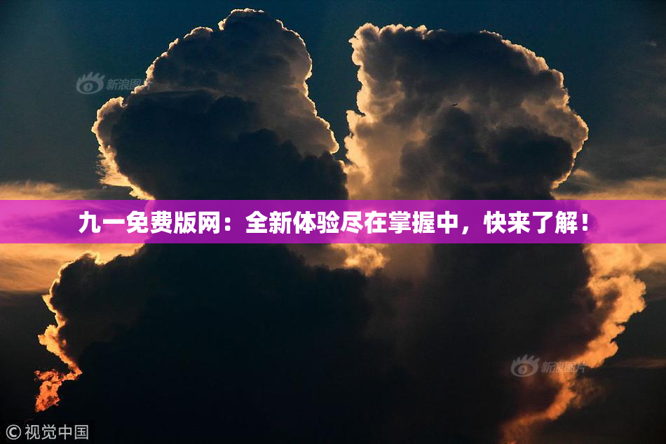 九一免费版网：全新体验尽在掌握中，快来了解！