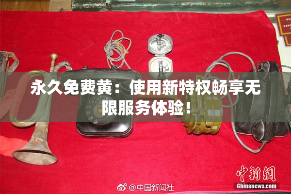 永久免费黄：使用新特权畅享无限服务体验！