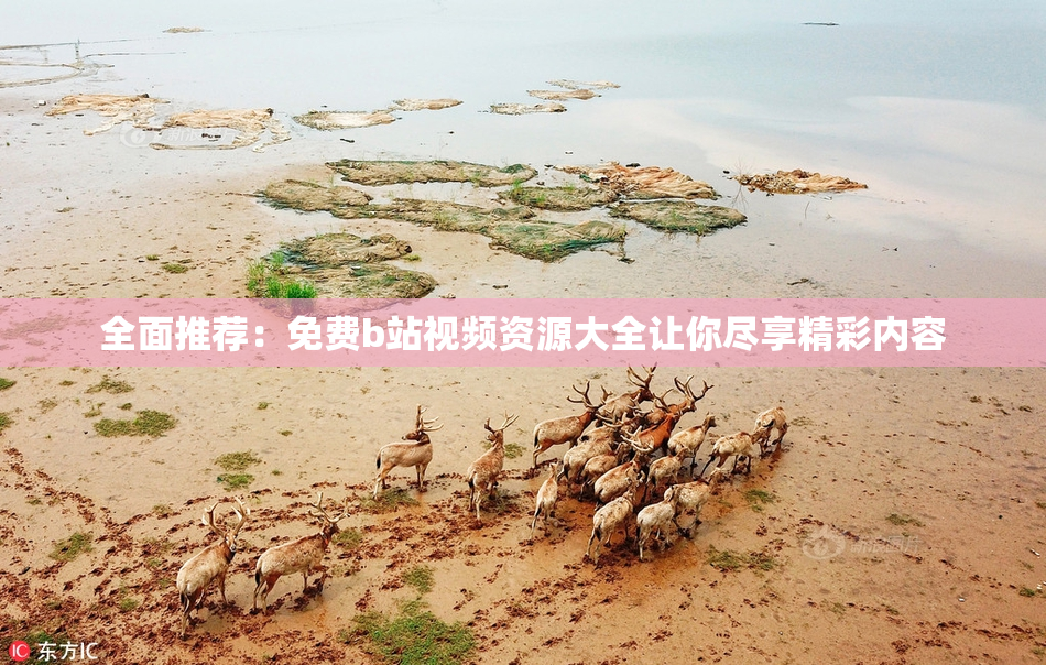 全面推荐：免费b站视频资源大全让你尽享精彩内容
