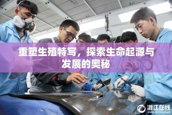 重塑生殖特写，探索生命起源与发展的奥秘
