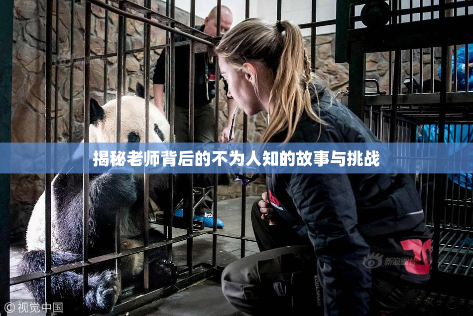 揭秘老师背后的不为人知的故事与挑战