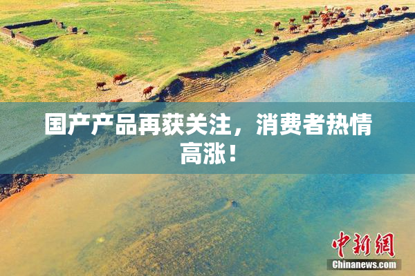 国产产品再获关注，消费者热情高涨！