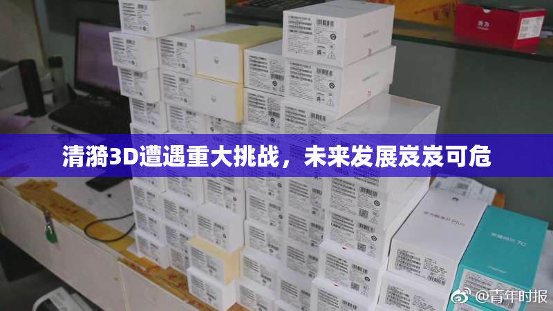 清漪3D遭遇重大挑战，未来发展岌岌可危