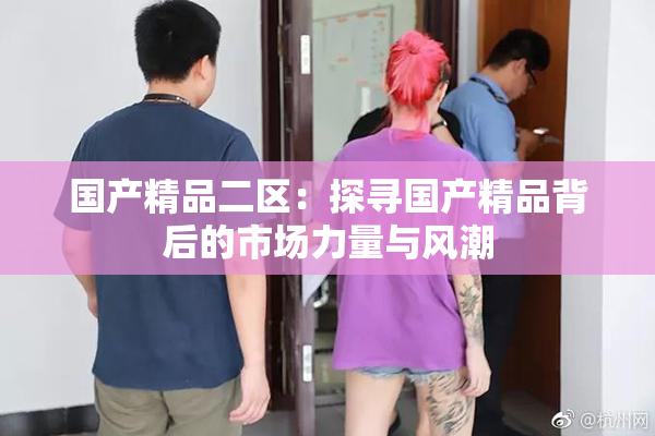 国产精品二区：探寻国产精品背后的市场力量与风潮