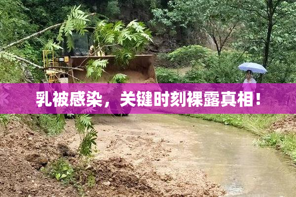 乳被感染，关键时刻裸露真相！