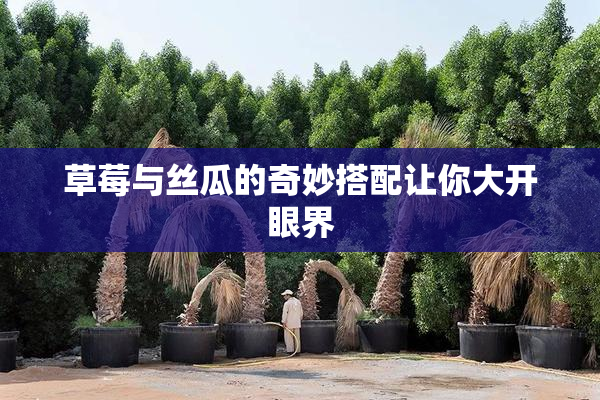 草莓与丝瓜的奇妙搭配让你大开眼界