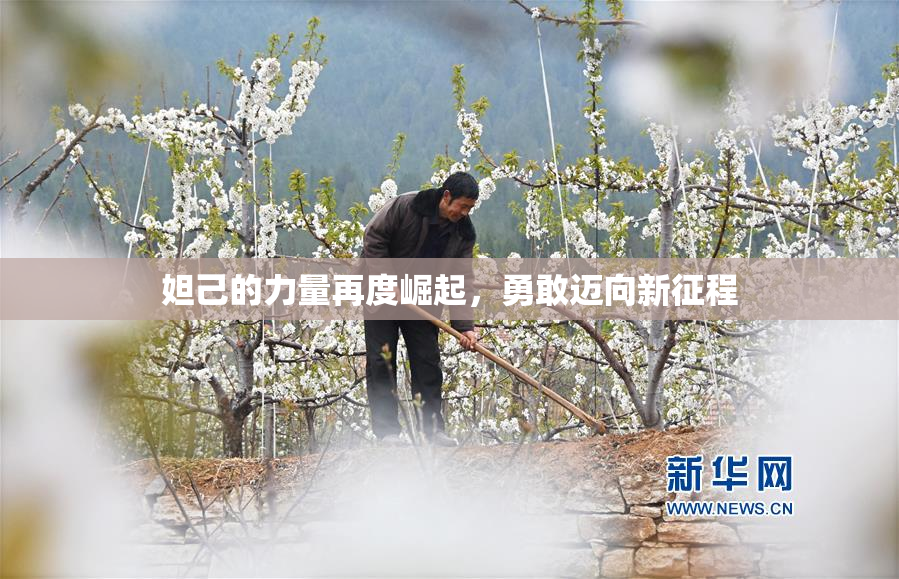 妲己的力量再度崛起，勇敢迈向新征程