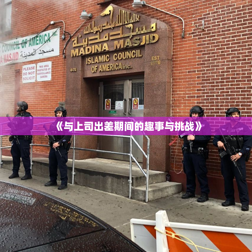 《与上司出差期间的趣事与挑战》