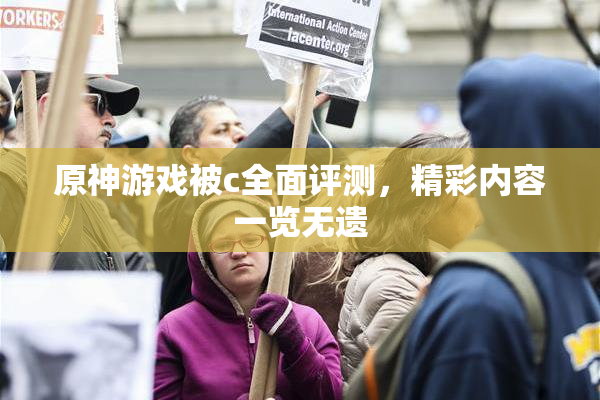 原神游戏被c全面评测，精彩内容一览无遗