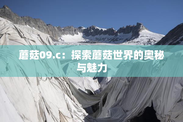蘑菇09.c：探索蘑菇世界的奥秘与魅力
