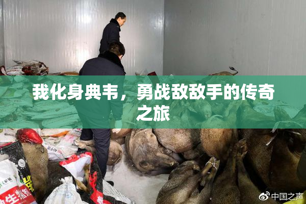 我化身典韦，勇战敌敌手的传奇之旅