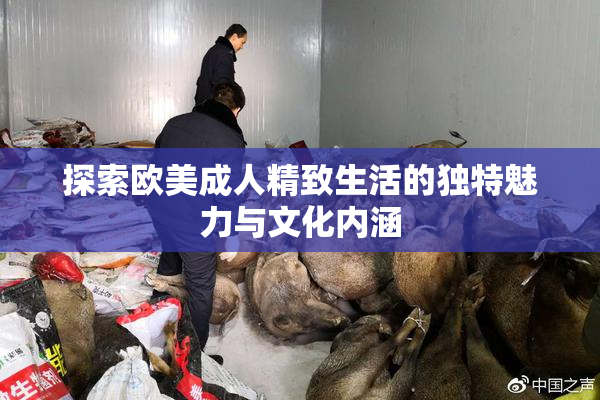 探索欧美成人精致生活的独特魅力与文化内涵