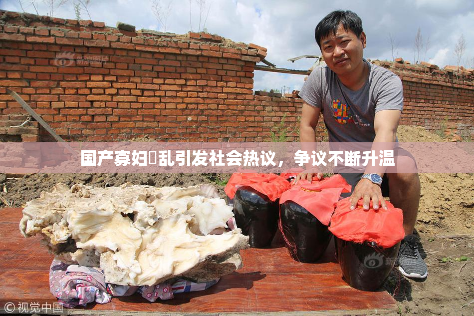 国产寡妇婬乱引发社会热议，争议不断升温