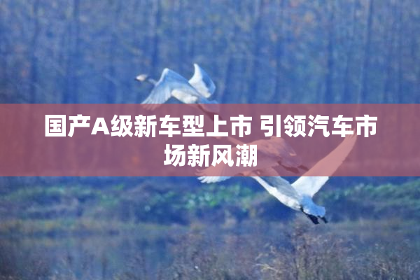 国产A级新车型上市 引领汽车市场新风潮