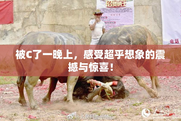 被C了一晚上，感受超乎想象的震撼与惊喜！