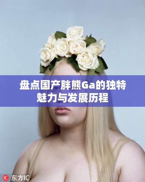盘点国产胖熊Ga的独特魅力与发展历程