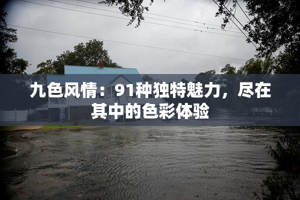 九色风情：91种独特魅力，尽在其中的色彩体验