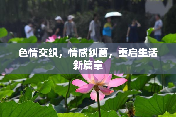 色情交织，情感纠葛，重启生活新篇章