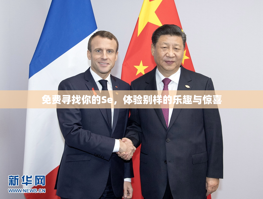 免费寻找你的Se，体验别样的乐趣与惊喜