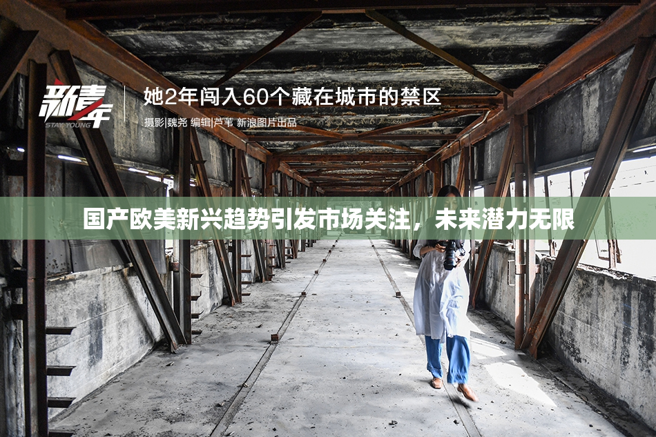 国产欧美新兴趋势引发市场关注，未来潜力无限