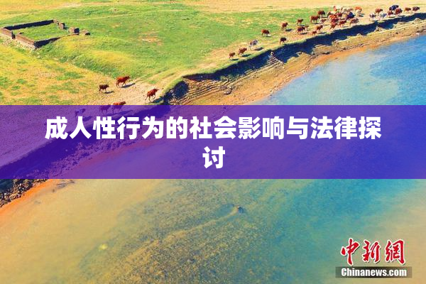 成人性行为的社会影响与法律探讨