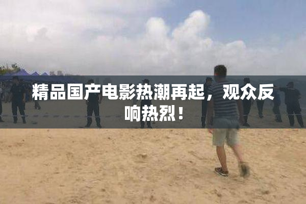 精品国产电影热潮再起，观众反响热烈！