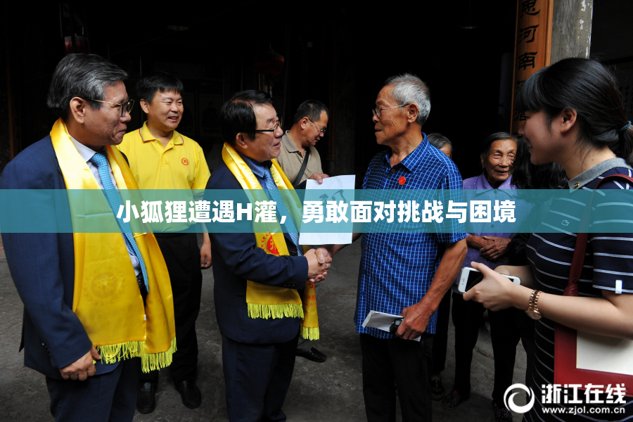 小狐狸遭遇H灌，勇敢面对挑战与困境