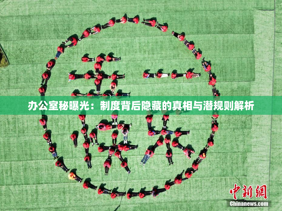办公室秘曝光：制度背后隐藏的真相与潜规则解析