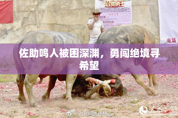 佐助鸣人被困深渊，勇闯绝境寻希望
