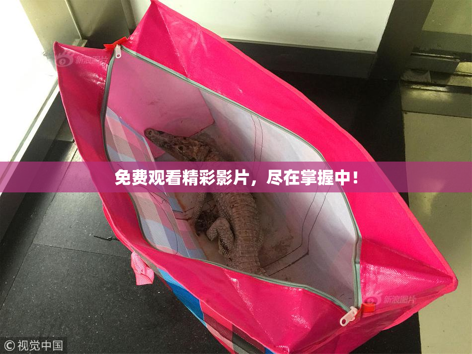 免费观看精彩影片，尽在掌握中！