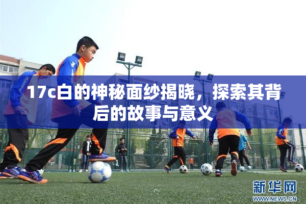 17c白的神秘面纱揭晓，探索其背后的故事与意义