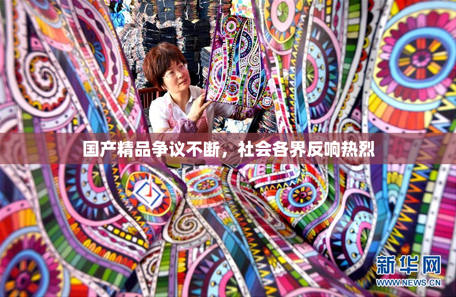 国产精品争议不断，社会各界反响热烈